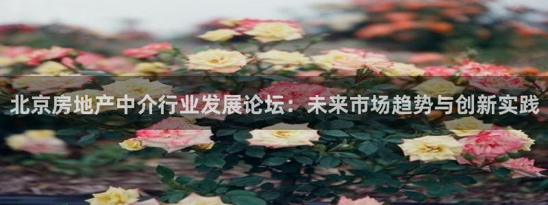 新宝5手机登陆：北京房地产中介行业发展论坛：未来市场趋势与创
