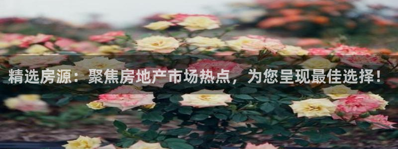 新宝5巅峰：精选房源：聚焦房地产市场热点，为您呈现最佳选择！