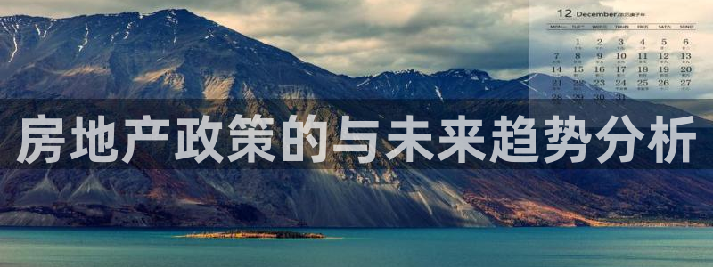 新宝速5：房地产政策的与未来趋势分析