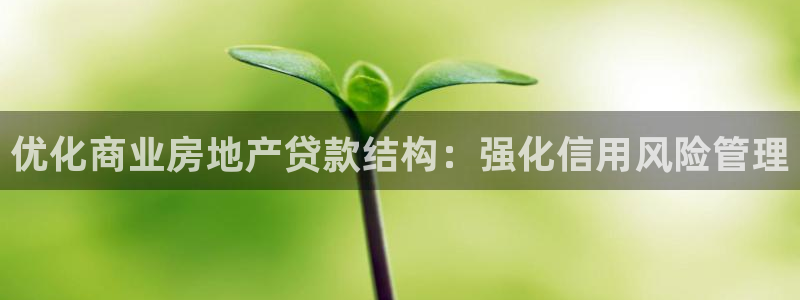 新宝5平台注册资金：优化商业房地产贷款结构：强化信用风险管理