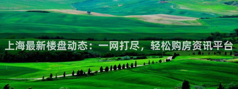 新宝5寂创33300散：上海最新楼盘动态：一网打尽，轻松购房