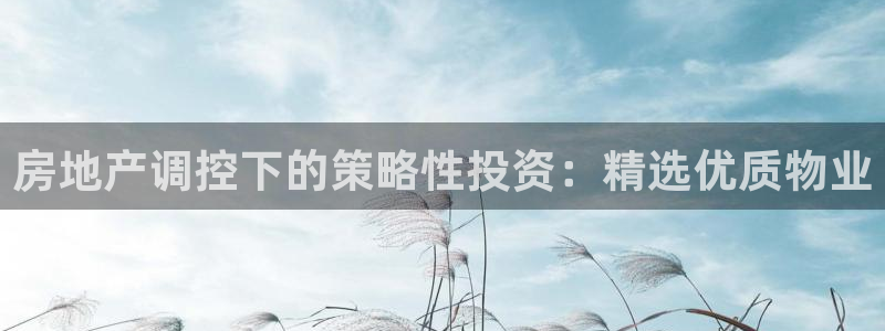 新宝5唯一：房地产调控下的策略性投资：精选优质物业