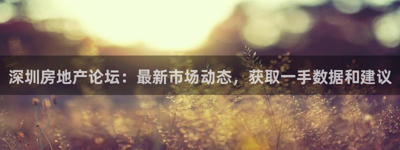 新宝5黑彩：深圳房地产论坛：最新市场动态，获取一手数据和建议