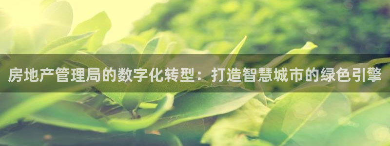 新宝5骗术：房地产管理局的数字化转型：打造智慧城市的绿色引擎