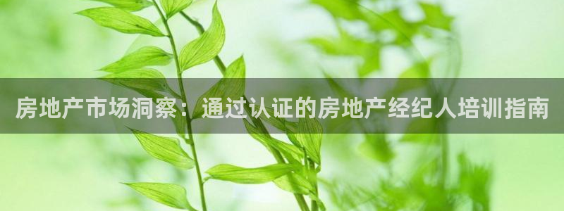 新宝5手机版登录：房地产市场洞察：通过认证的房地产经纪人培训