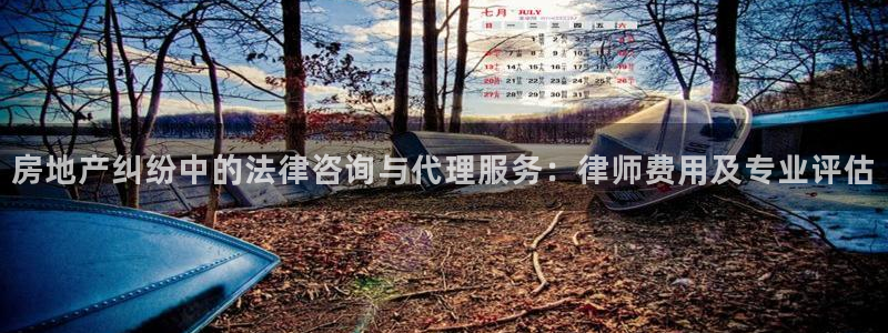新宝5手机版登录：房地产纠纷中的法律咨询与代理服务：律师费用