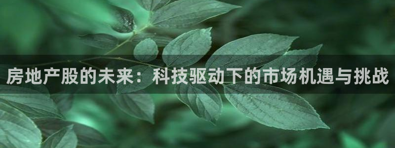有人知道新宝5么：房地产股的未来：科技驱动下的市场机遇与挑战