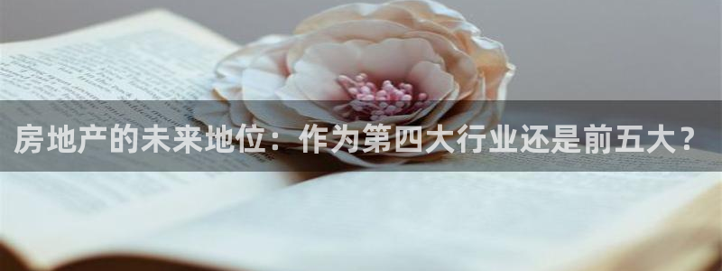 新宝5卫74OOO5：房地产的未来地位：作为第四大行业还是前