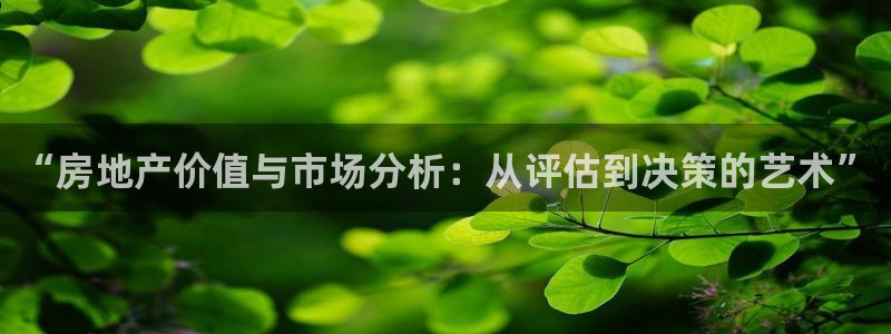 新宝5线路登录：“房地产价值与市场分析：从评估到决策的艺术”