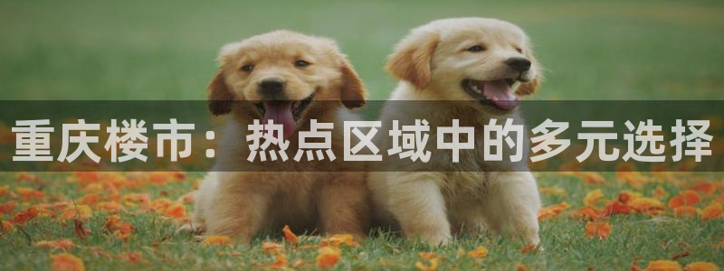 新宝5户端：重庆楼市：热点区域中的多元选择