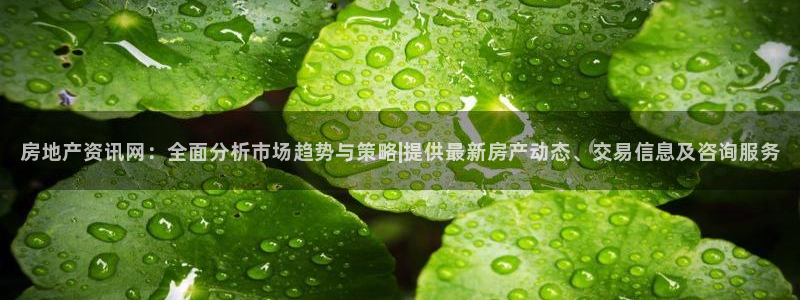 新宝5软件下载：房地产资讯网：全面分析市场趋势与策略|提供最