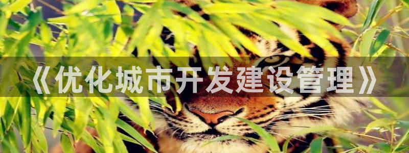 下载新宝5：《优化城市开发建设管理》