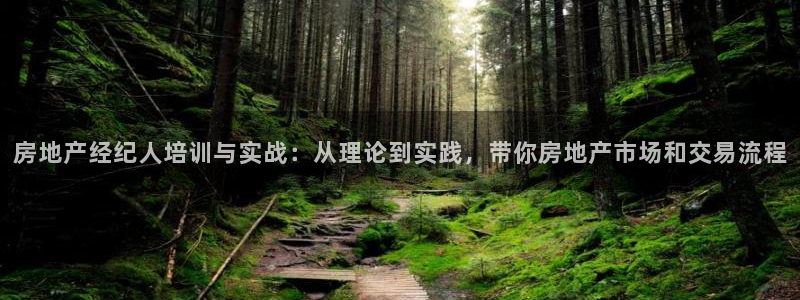 新宝5平台登录下载软件：房地产经纪人培训与实战：从理论到实践