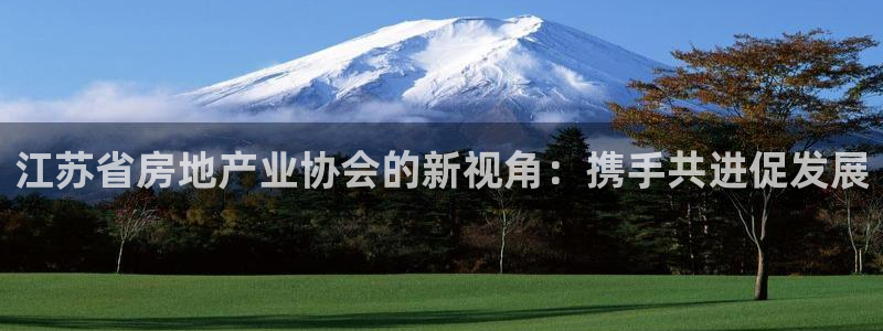新宝5手机登录：江苏省房地产业协会的新视角：携手共进促发展
