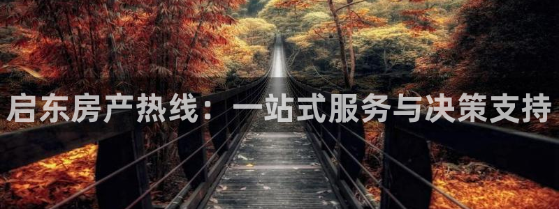 新宝5娱乐注册：启东房产热线：一站式服务与决策支持