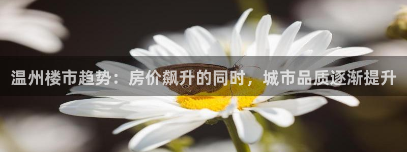 新宝5吴74OOO5：温州楼市趋势：房价飙升的同时，城市品质