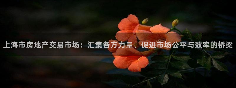 新宝6霸哥5：上海市房地产交易市场：汇集各方力量、促进市场公