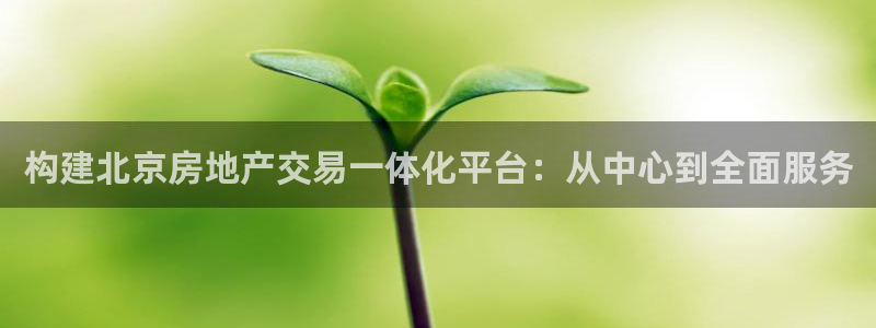 新宝5台卡：构建北京房地产交易一体化平台：从中心到全面服务