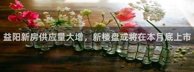新宝5测速平台登录：益阳新房供应量大增，新楼盘或将在本月底上