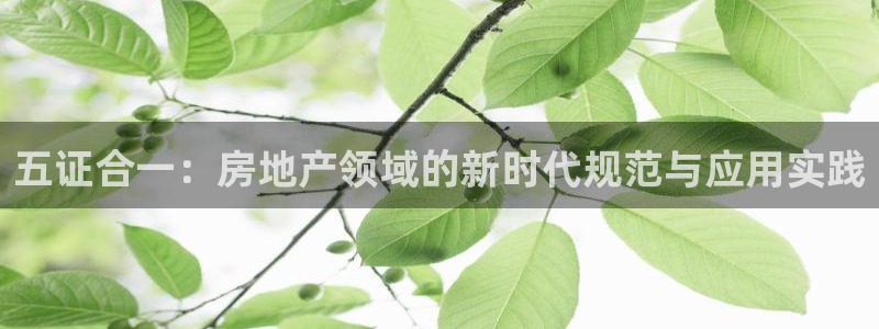 新宝5手机平台登陆：五证合一：房地产领域的新时代规范与应用实