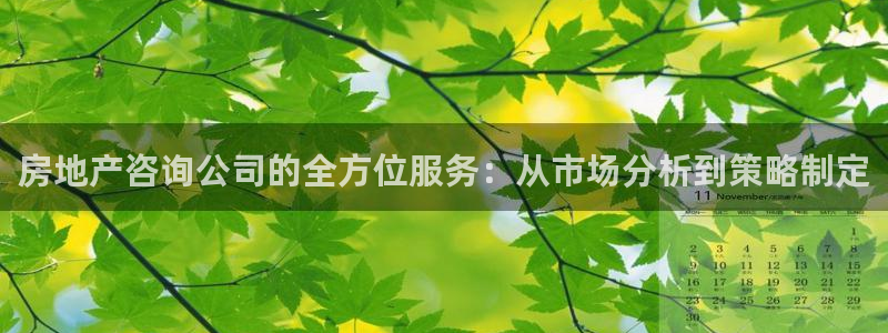 新宝股东王听2 5 5：房地产咨询公司的全方位服务：从市场分