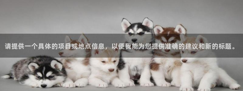新宝5测速在线：请提供一个具体的项目或地点信息，以便我能为您