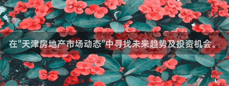新宝5测登录：在\
