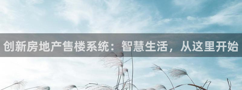 新宝5秒开：创新房地产售楼系统：智慧生活，从这里开始