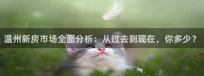新宝5内部：温州新房市场全面分析：从过去到现在，你多少？