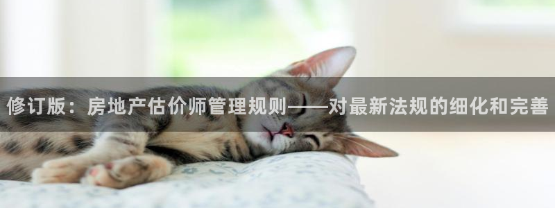 新宝5招商部：修订版：房地产估价师管理规则——对最新法规的细