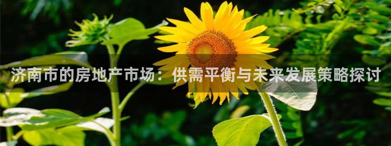 新宝5安卓版：济南市的房地产市场：供需平衡与未来发展策略探讨