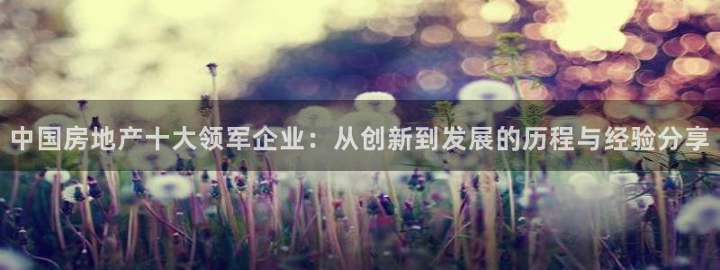 新宝5 唯一：中国房地产十大领军企业：从创新到发展的历程与经