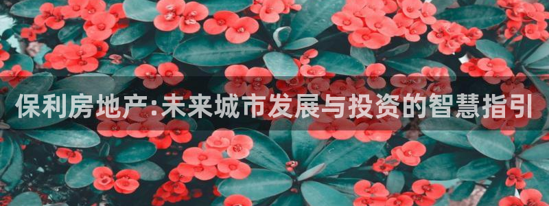 新宝骏rc5W：保利房地产:未来城市发展与投资的智慧指引