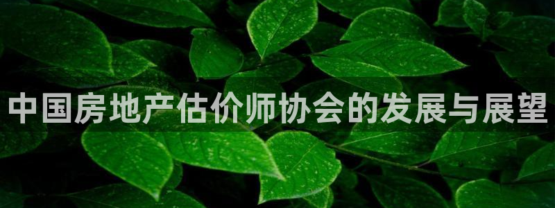 新宝j2O5O5O：中国房地产估价师协会的发展与展望