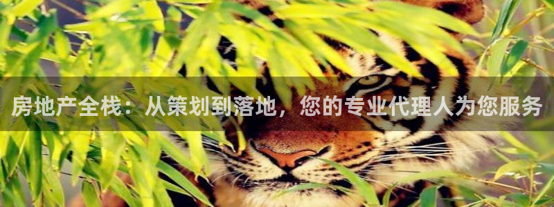新宝5手机app：房地产全栈：从策划到落地，您的专业代理人为