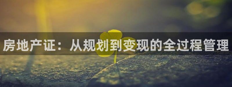新宝5后：房地产证：从规划到变现的全过程管理