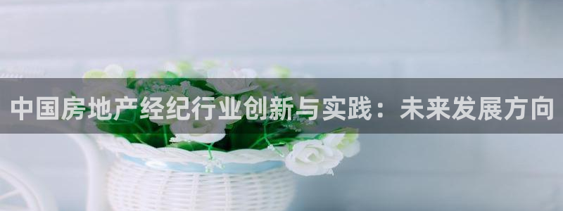 新宝5娱乐平台：中国房地产经纪行业创新与实践：未来发展方向