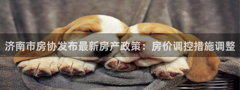 新宝5app：济南市房协发布最新房产政策：房价调控措施调整