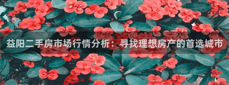 新宝股东张听2 5 5：益阳二手房市场行情分析：寻找理想房产