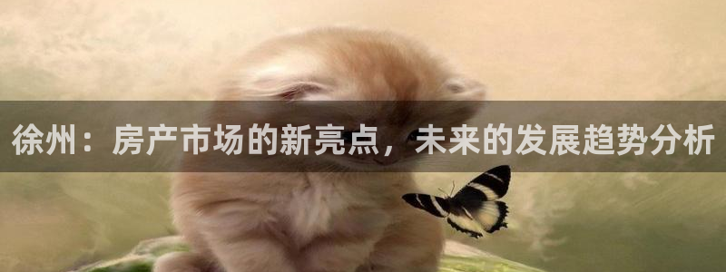 新宝5客户端登录：徐州：房产市场的新亮点，未来的发展趋势分析