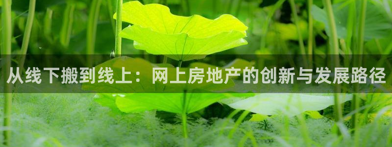新宝5娱乐：从线下搬到线上：网上房地产的创新与发展路径