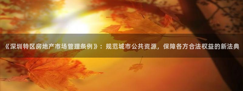 新宝5手机平台登陆：《深圳特区房地产市场管理条例》：规范城市
