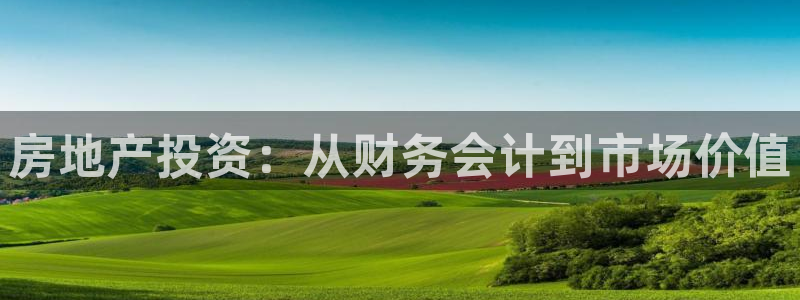 新宝5-测速：房地产投资：从财务会计到市场价值