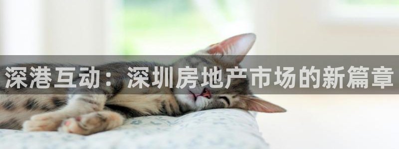 新宝xb5：深港互动：深圳房地产市场的新篇章
