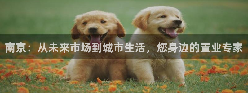 新宝骏rc5W：南京：从未来市场到城市生活，您身边的置业专家
