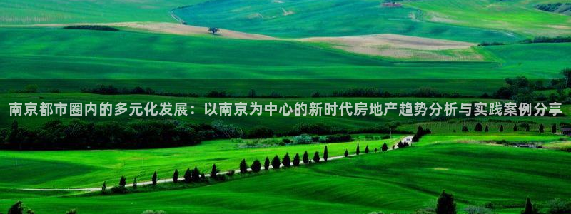新宝5官方网站：南京都市圈内的多元化发展：以南京为中心的新时