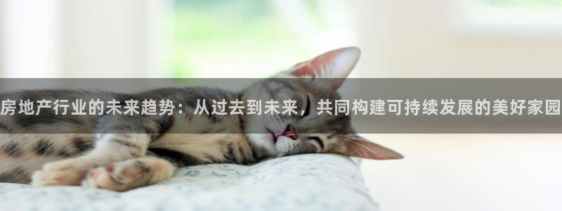 新宝5网址：房地产行业的未来趋势：从过去到未来，共同构建可持