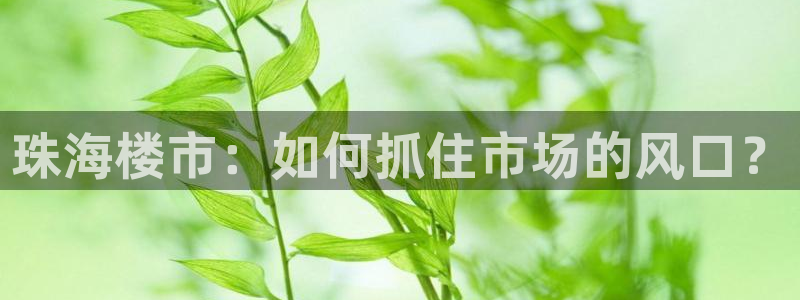 新5宝：珠海楼市：如何抓住市场的风口？