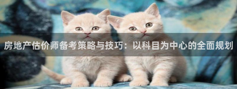 新宝5账号注册：房地产估价师备考策略与技巧：以科目为中心的全