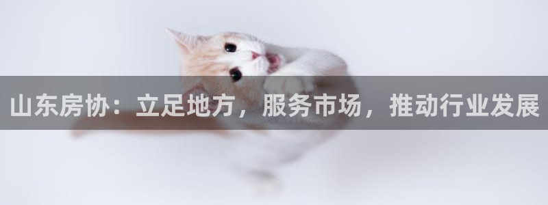 新宝5线路：山东房协：立足地方，服务市场，推动行业发展